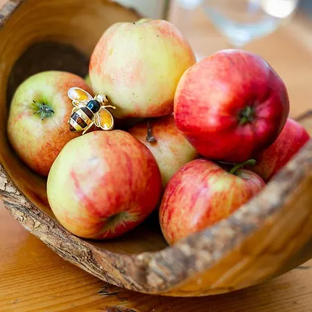 The Bs Hive, Modern, Stylish, 2 Bedroom House, In Centre